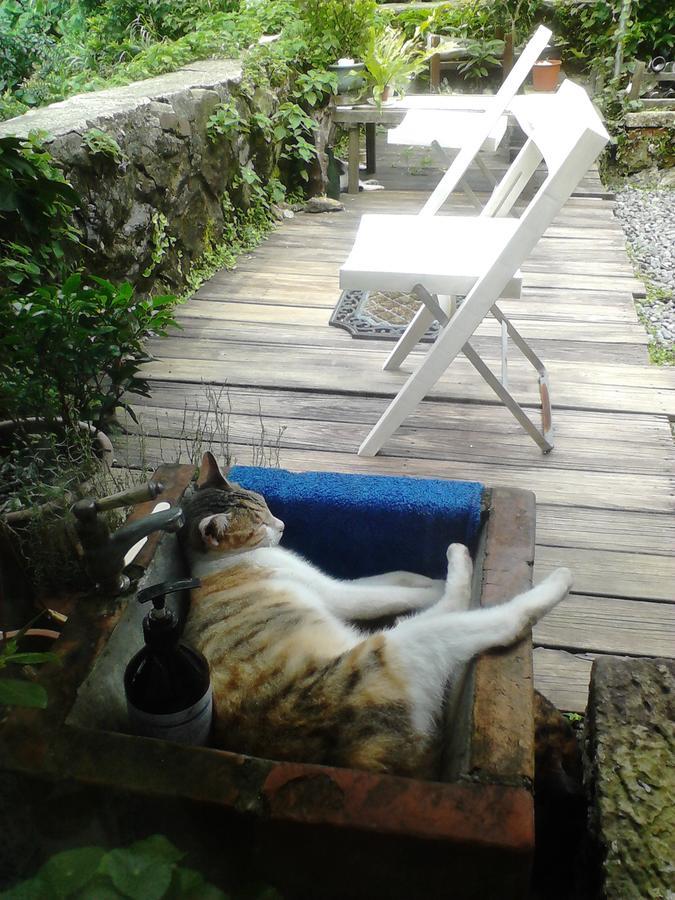 Jiufen Aromatherapy B&B Buitenkant foto